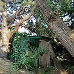 Casa La Quercia * Portoferraio