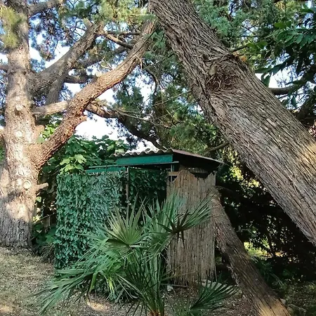 Casa La Quercia * ポルトフェッラーイオ