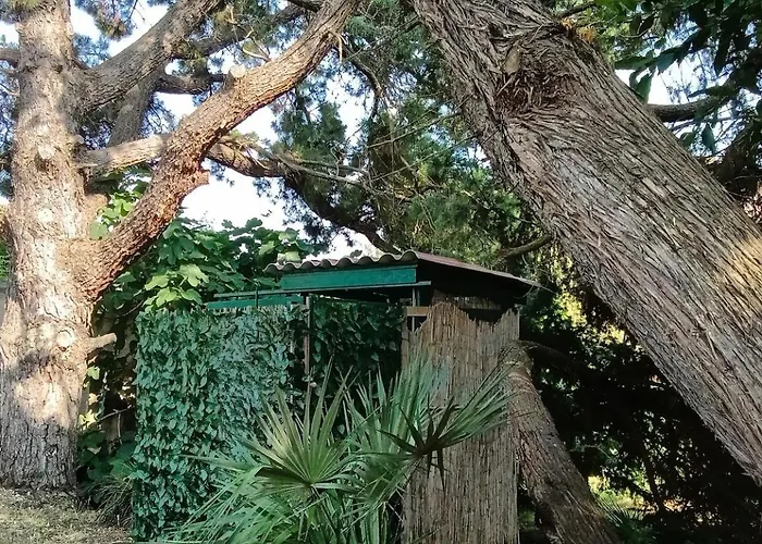 Casa La Quercia * بورتوفيرّايو