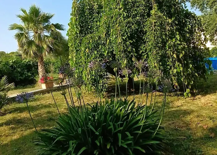 Casa La Quercia بورتوفيرّايو