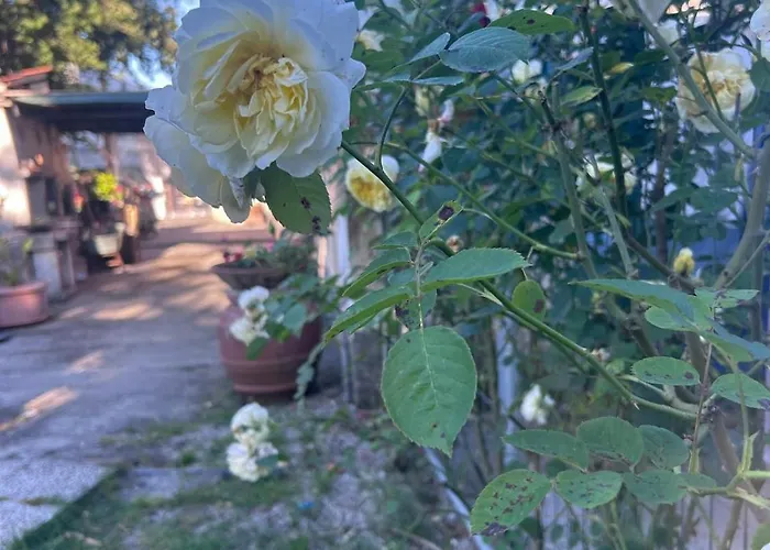 Сasa de vacaciones Casa La Quercia *