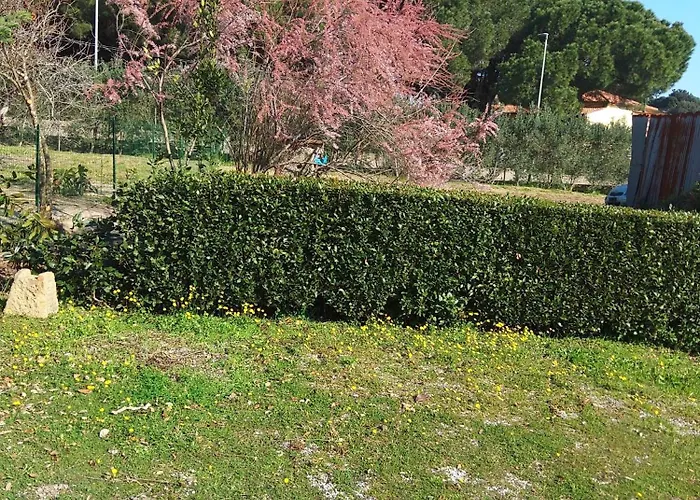 Casa La Quercia Сasa de vacaciones